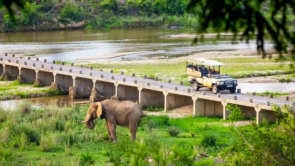 Elephant Walk Tented Camp