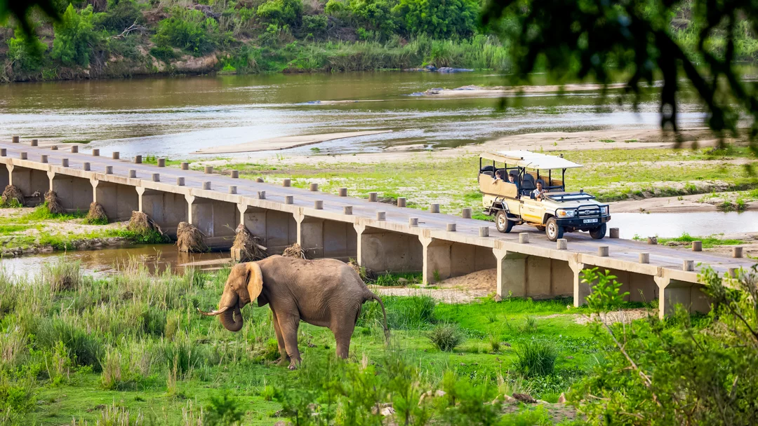 Elephant Walk Tented Camp – Kruger National Park