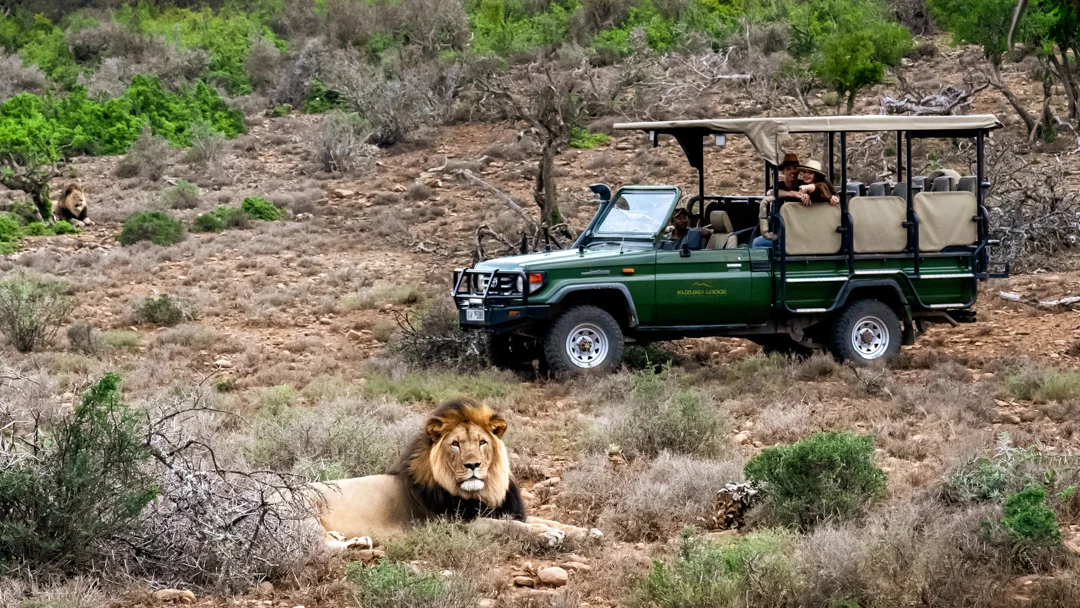 5* Kuzuko Lodge – Greater Addo Package