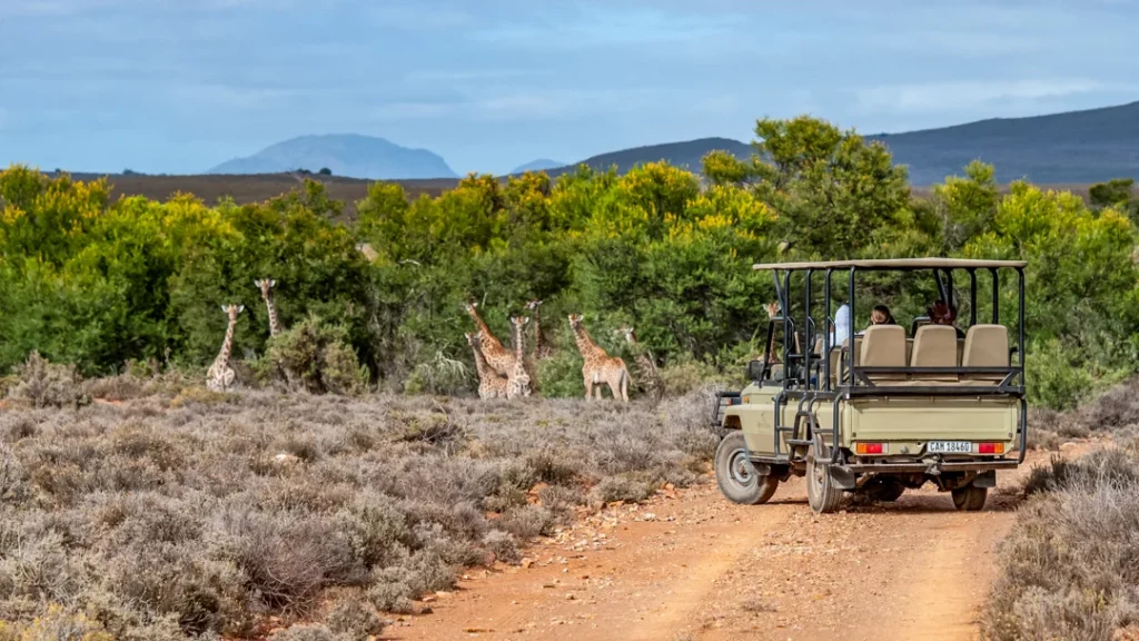 Mont Eco Private Game Reserve