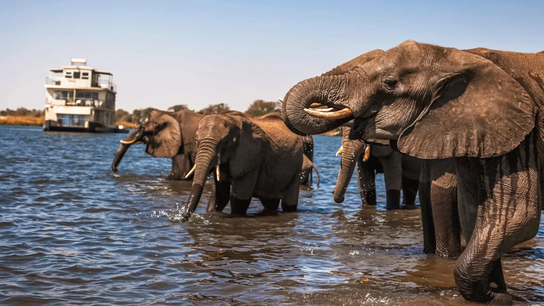 4* Chobe Princess Safari Boat